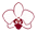 Labor App - Orchideen Lucke